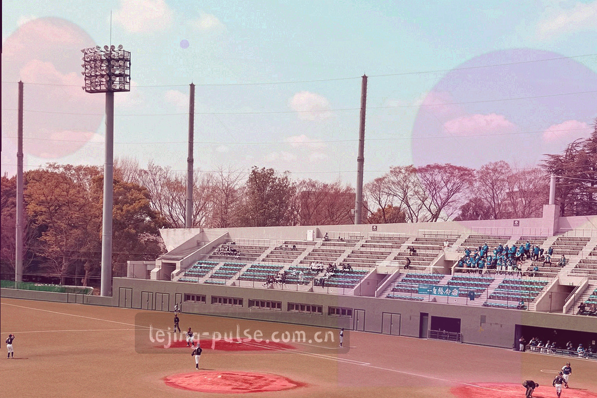网格状信息图，横轴为轮次节点，纵轴为九项奖项类别，交叉位置用不同颜色的方块标出是否进入记录